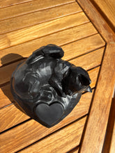 Charger l'image dans la galerie, urne chat angel vue du dessus