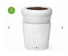 Charger l'image dans la galerie, urne cineraire bios