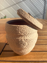 Charger l'image dans la galerie, urne bio pour animaux
