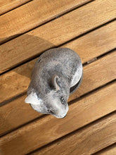 Charger l&#39;image dans la galerie, urne pour hamster vue du dessus
